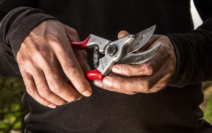 FELCO